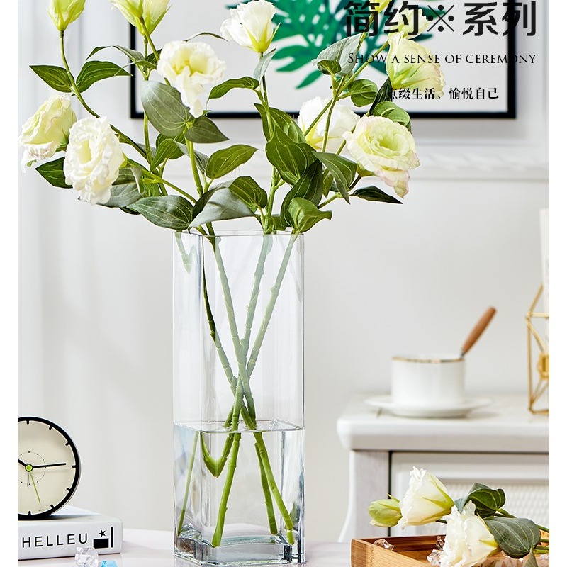 玻璃花瓶擺件客廳透明插花乾花方形直筒大號裝飾花器水培富貴竹瓶-細節圖7