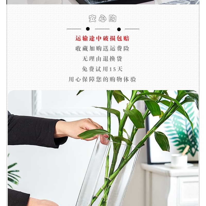 玻璃花瓶擺件客廳透明插花乾花方形直筒大號裝飾花器水培富貴竹瓶-細節圖9