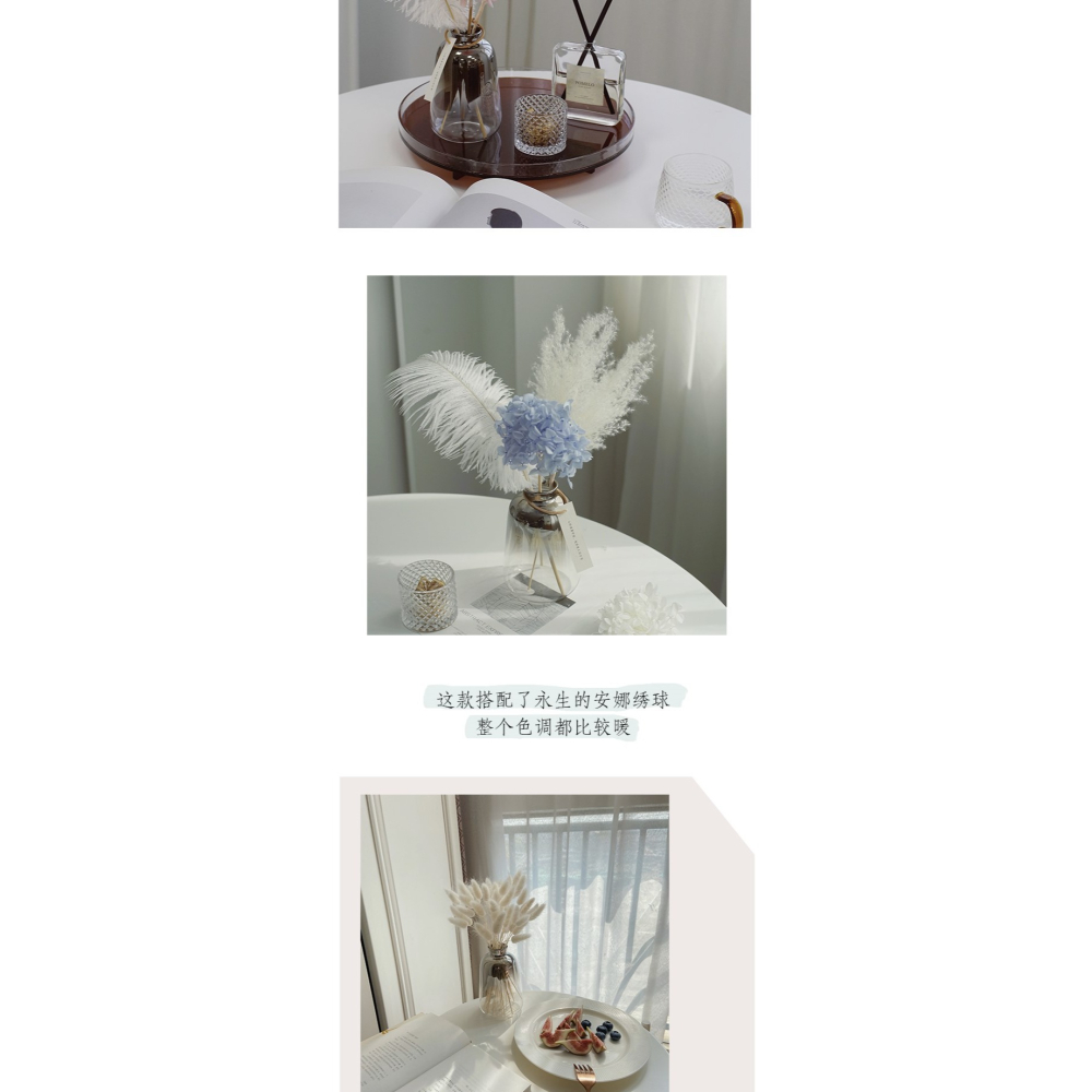 法式羽毛花束清新蘆葦乾花擺件桌面櫥窗客廳擺設ins家居裝飾網紅-細節圖8