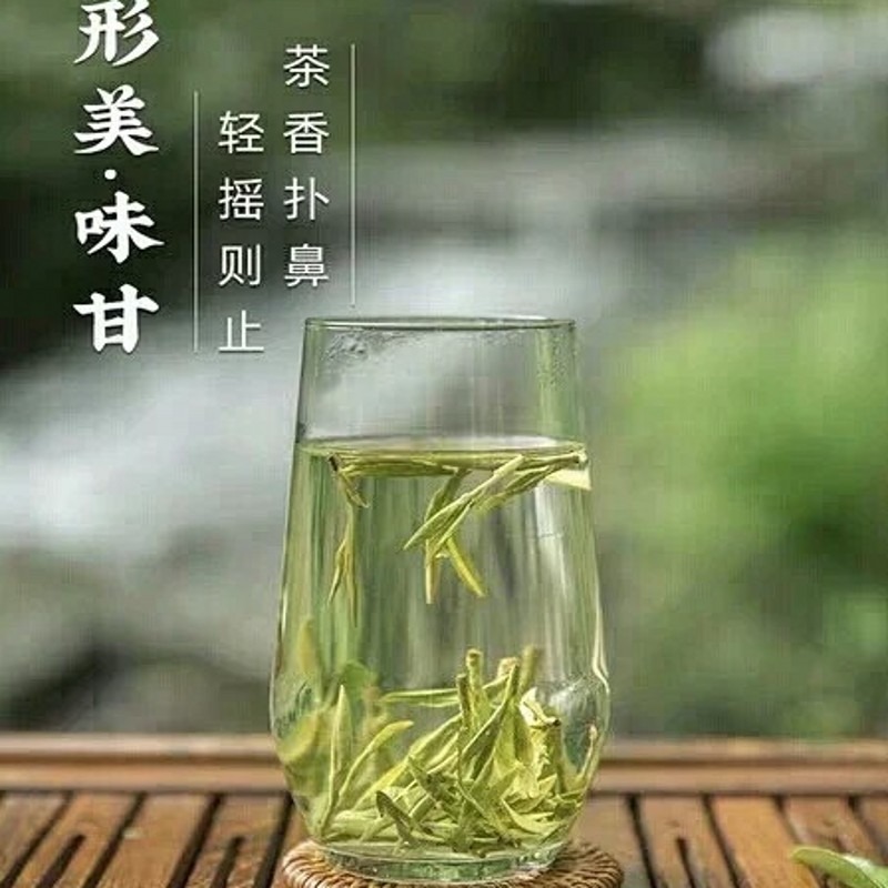 滿50 正宗年杭州西湖區龍井村雨前茶豆香味10g小罐試喝裝-細節圖4