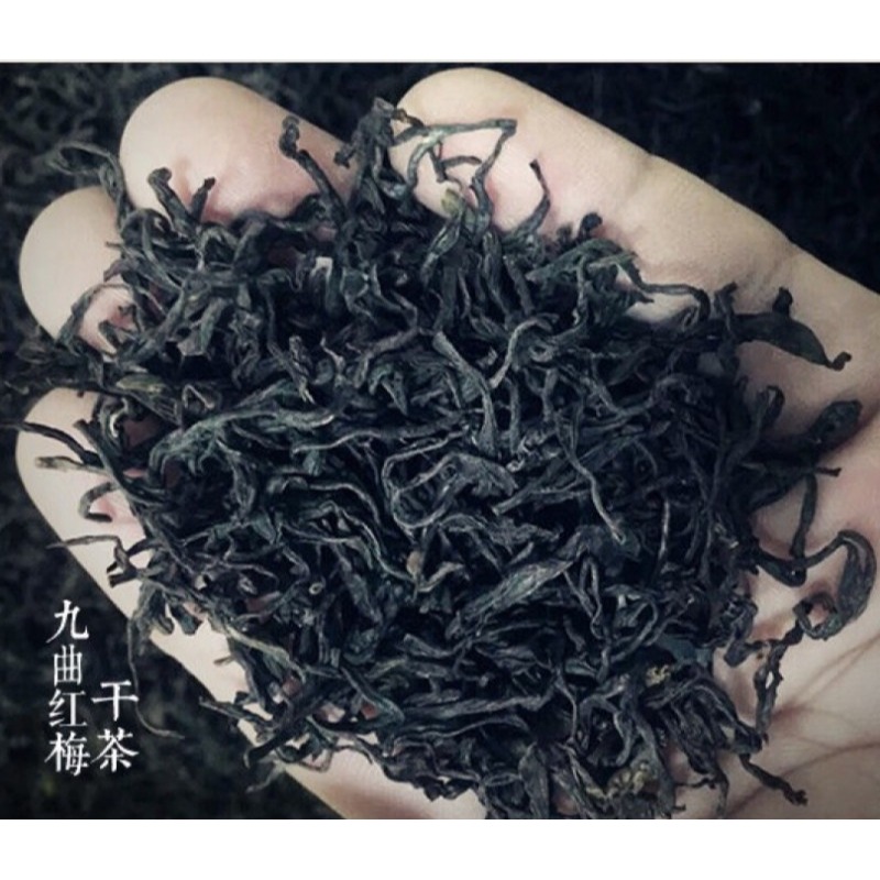滿50 試喝裝杭州特產西湖紅茶龍井九曲紅梅10g 全手工發酵-細節圖3
