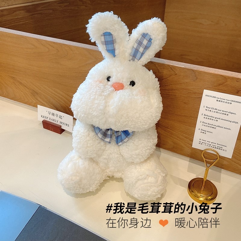 送女生的生日禮物實用儀式感兒童玩偶18歲成年禮送閨蜜女友特別-細節圖2
