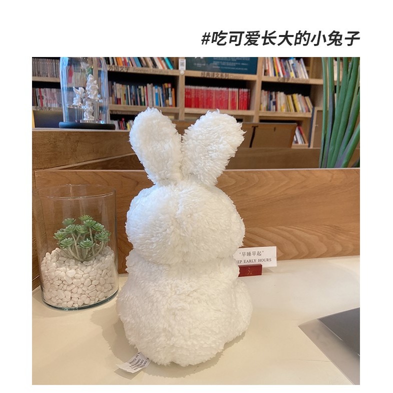 送女生的生日禮物實用儀式感兒童玩偶18歲成年禮送閨蜜女友特別-細節圖6