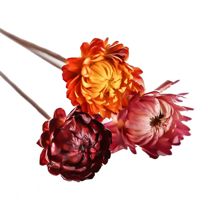 ins網紅天然乾花花束棉花滿天星永生花真花束小清新家居客廳裝飾-細節圖5
