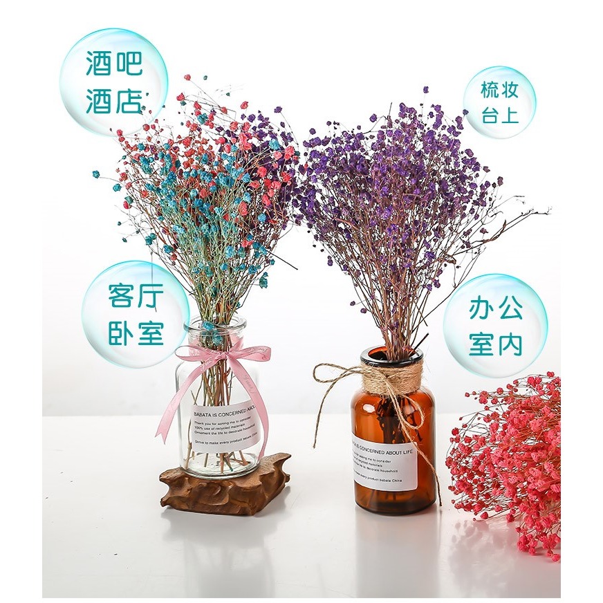 ins網紅天然乾花花束棉花滿天星永生花真花束小清新家居客廳裝飾-細節圖7