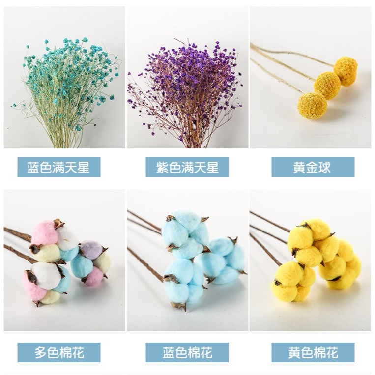 ins網紅天然乾花花束棉花滿天星永生花真花束小清新家居客廳裝飾-細節圖10