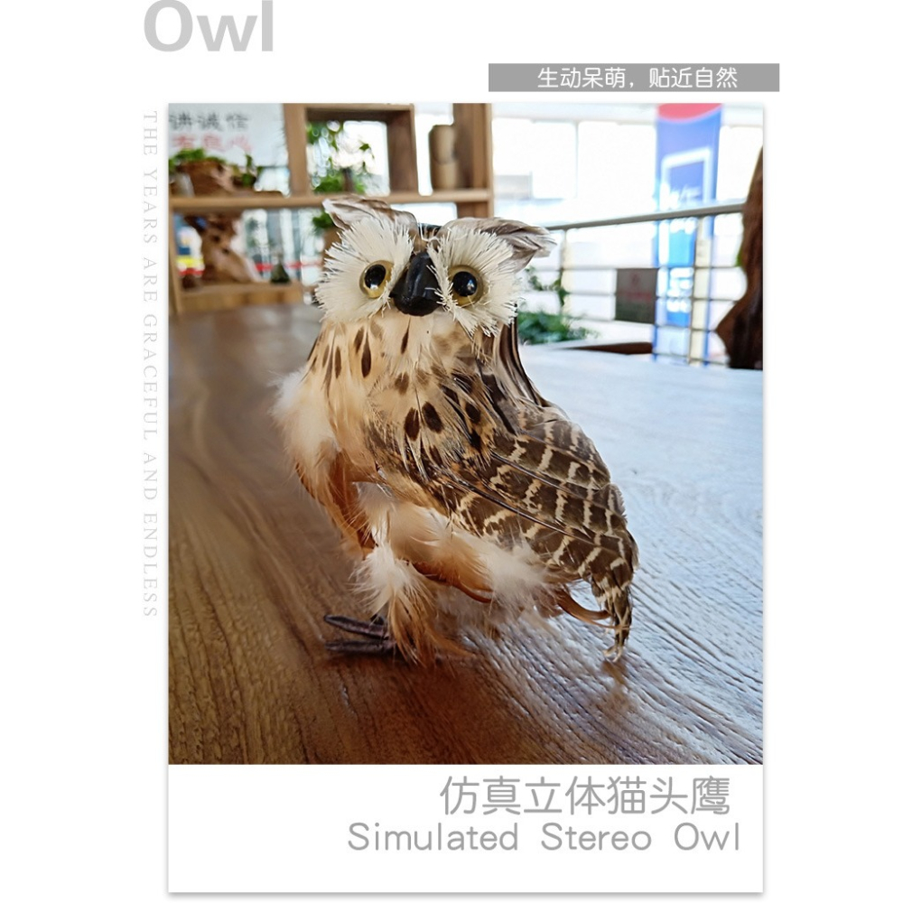 仿真羽毛貓頭鷹羽毛製品家居場景佈置仿生鳥裝飾工藝品-細節圖10