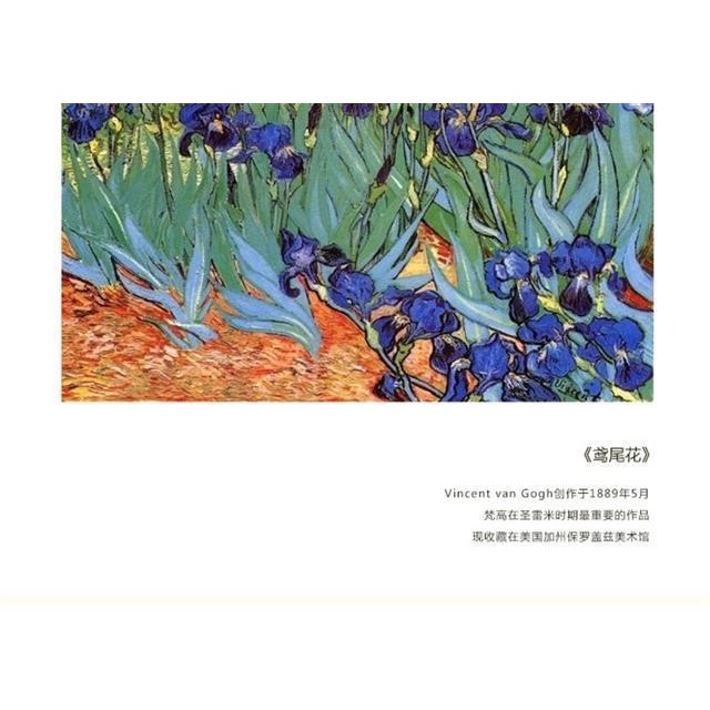鳶尾迷情鳶尾花S925銀鍍金耳環法式優雅高端日韓花卉長流蘇耳飾品-細節圖9