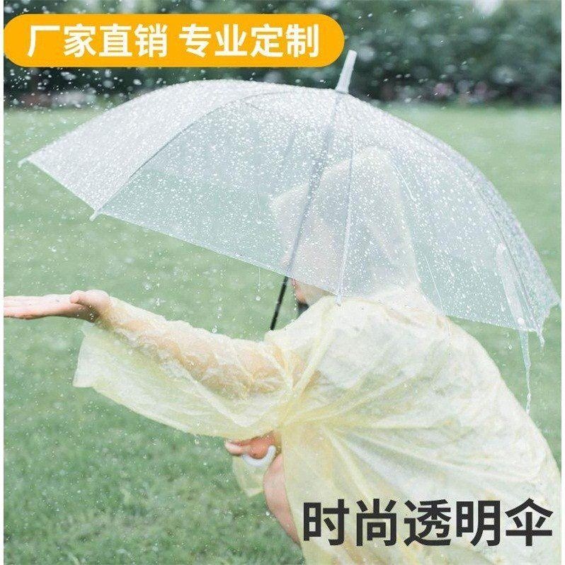 透明雨傘男女網紅ins可愛半自動折疊直柄兒童清新遮陽晴雨傘-細節圖2