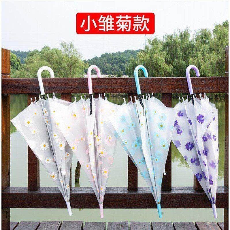 透明雨傘男女網紅ins可愛半自動折疊直柄兒童清新遮陽晴雨傘-細節圖5