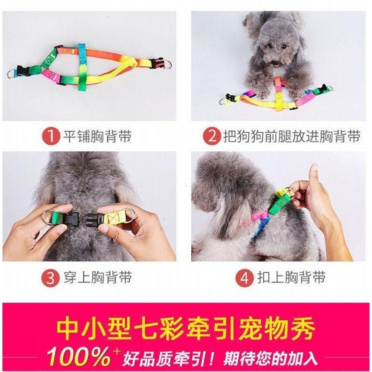遛狗繩狗繩子小泰迪狗狗牽引繩狗鏈子幼犬小型犬栓溜牽狗繩可調節-細節圖4