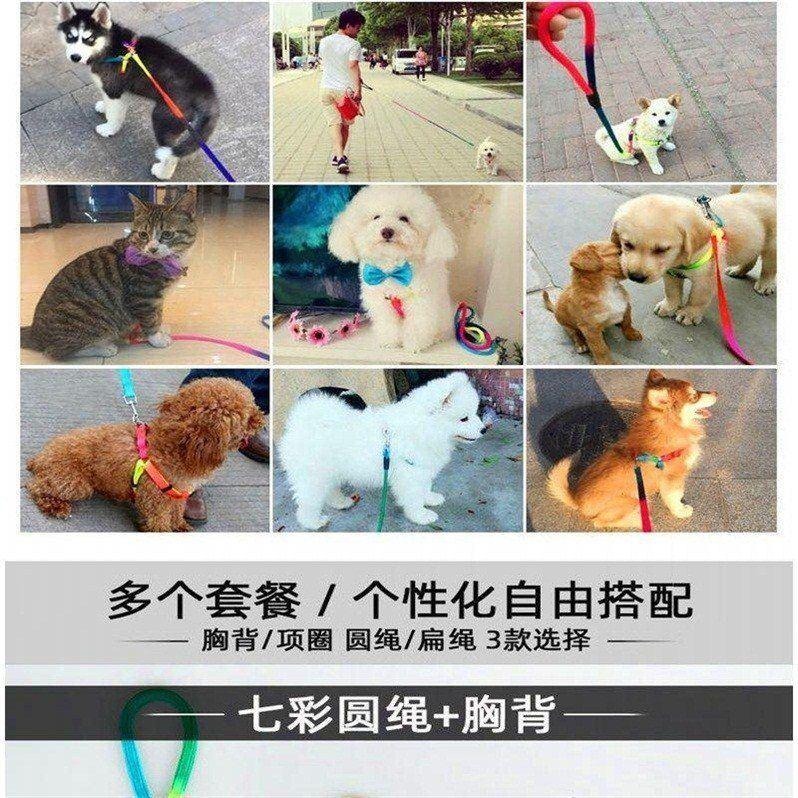 遛狗繩狗繩子小泰迪狗狗牽引繩狗鏈子幼犬小型犬栓溜牽狗繩可調節-細節圖5