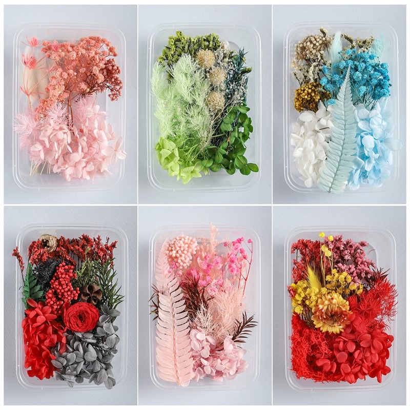 DIY混裝乾花盒手工花材包乾花材料包真花玫瑰天然風幹ins裝飾擺件-細節圖2