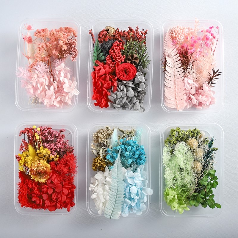 DIY混裝乾花盒手工花材包乾花材料包真花玫瑰天然風幹ins裝飾擺件-細節圖7