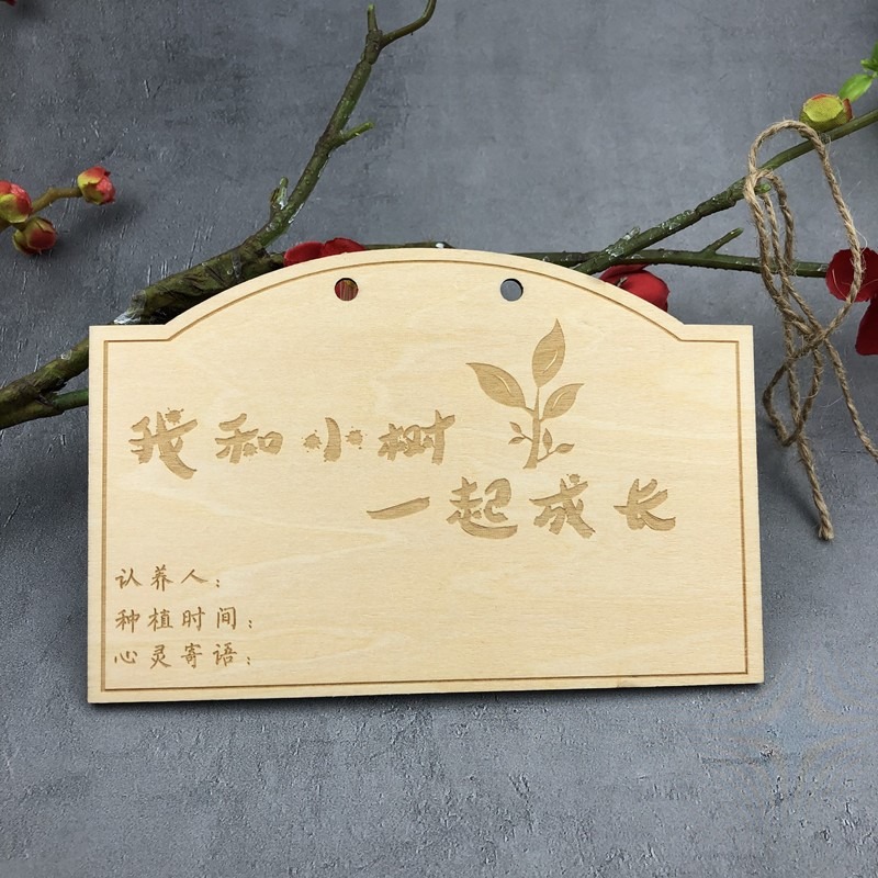 10片定做木質掛牌 學校植樹節吊牌 樹木認養牌 植物標簽牌 名字卡-細節圖2
