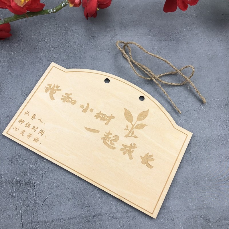 10片定做木質掛牌 學校植樹節吊牌 樹木認養牌 植物標簽牌 名字卡-細節圖4