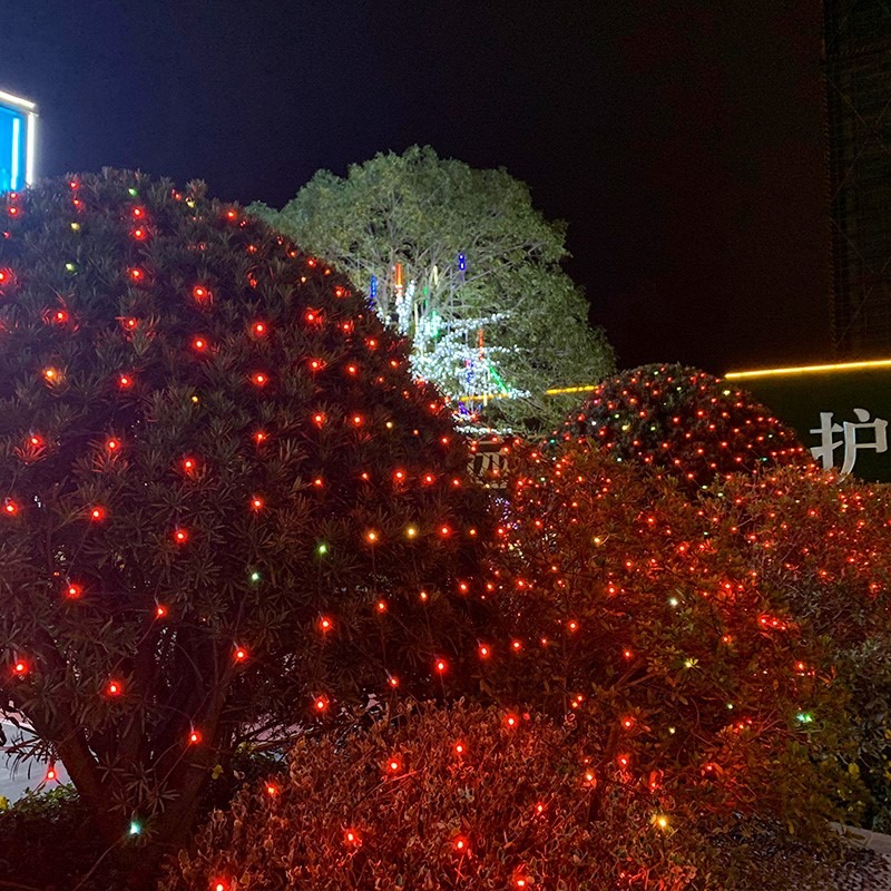 LED彩燈閃燈串燈滿天星網格燈戶外防水星星燈節日婚慶網紅裝飾燈-細節圖2