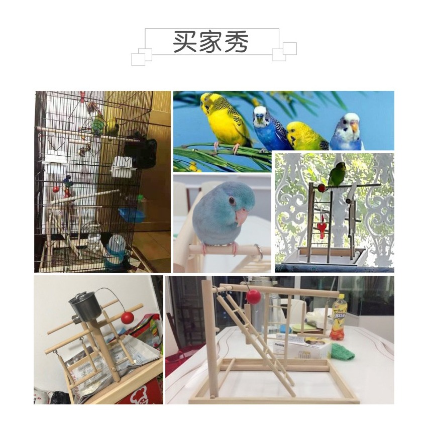 karlie鸚鵡訓練遊樂園大號虎皮牡丹小太陽和尚爬梯站架鳥鞦韆-細節圖10