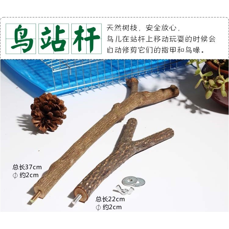 trixie鸚鵡站桿樹杈八哥畫眉鳥站棍站槓站架磨爪棒鳥籠配件-細節圖8