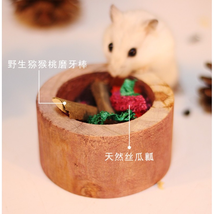 Trixie倉鼠刺?金絲熊烏龜躲避木屋玩具雙層豪華款-細節圖9