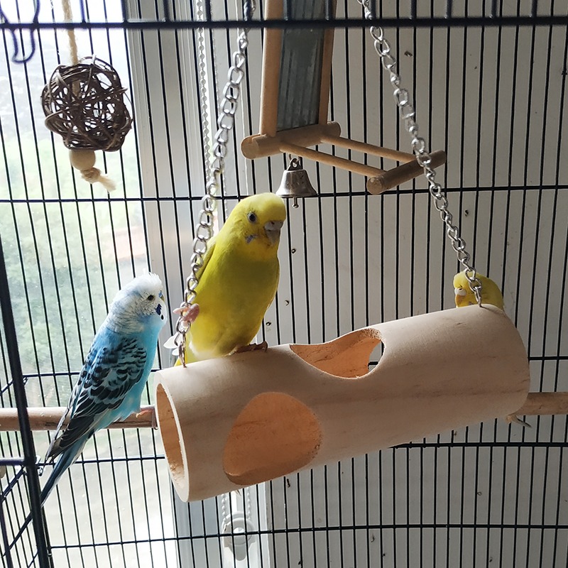 鸚鵡隧道鞦韆鳥窩天然樹洞睡房啃咬小鳥玩具木屋蜜袋鼯窩鞦韆吊窩-細節圖2