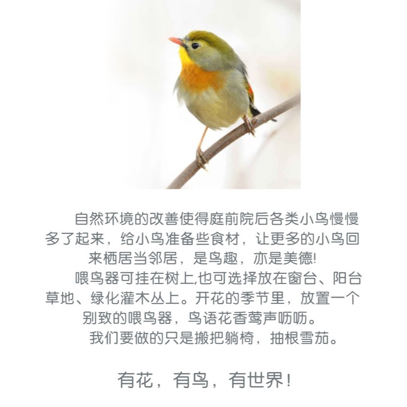 法國La Masion喂鳥器餵食飼鳥庭院別墅花園民宿高雅裝飾佈施愛鳥-細節圖10