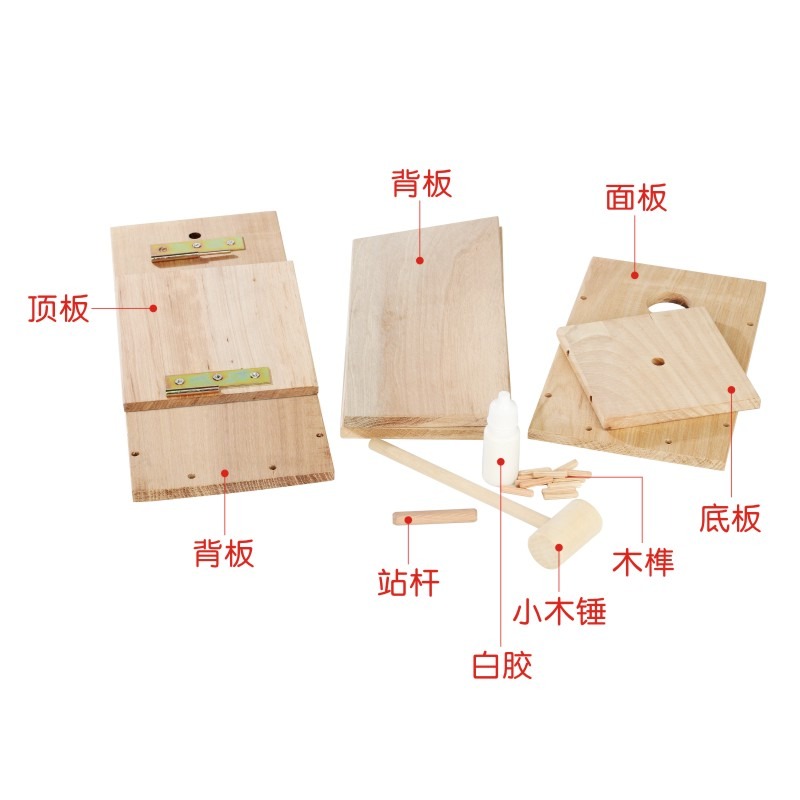 巴斯蒂爾兒童益智拆裝DIY木製戶外鳥屋幼兒園園藝庭院野鳥-細節圖4