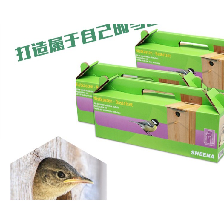 巴斯蒂爾兒童益智拆裝DIY木製戶外鳥屋幼兒園園藝庭院野鳥-細節圖8