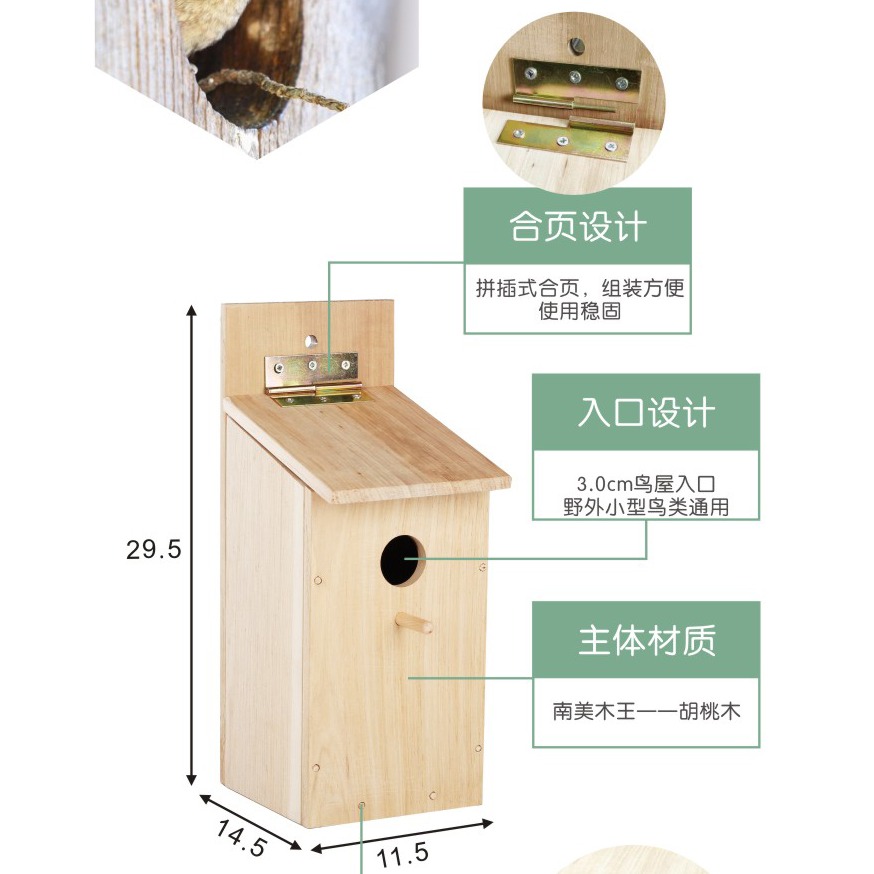 巴斯蒂爾兒童益智拆裝DIY木製戶外鳥屋幼兒園園藝庭院野鳥-細節圖9