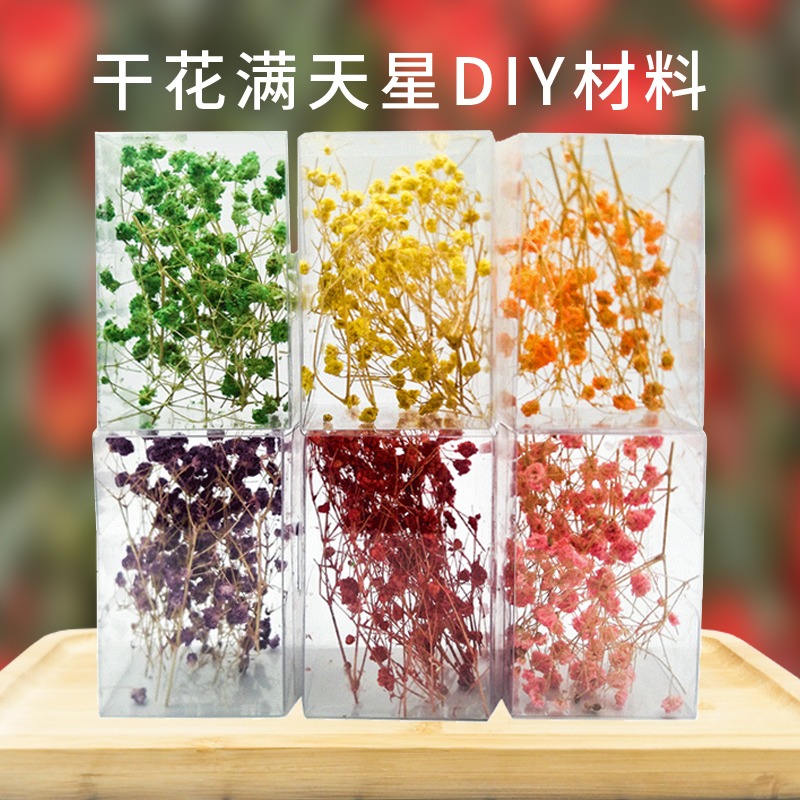 建築沙盤模型材料場景景觀模型diy手工乾花手配件乾花滿天星-細節圖2
