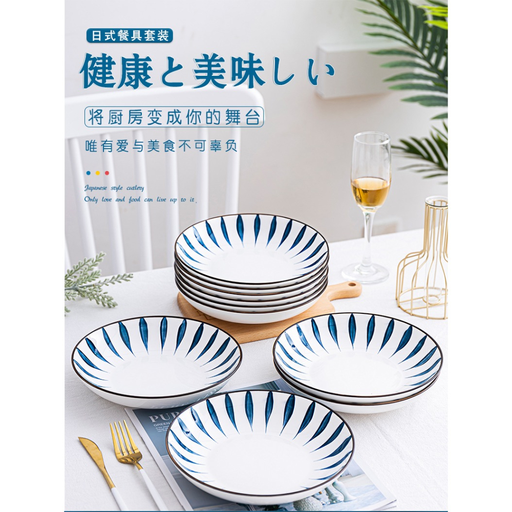 盤子套裝2/4/6/10只裝家用日式陶瓷碟子菜盤魚盤創意個性餐盤組合-細節圖7