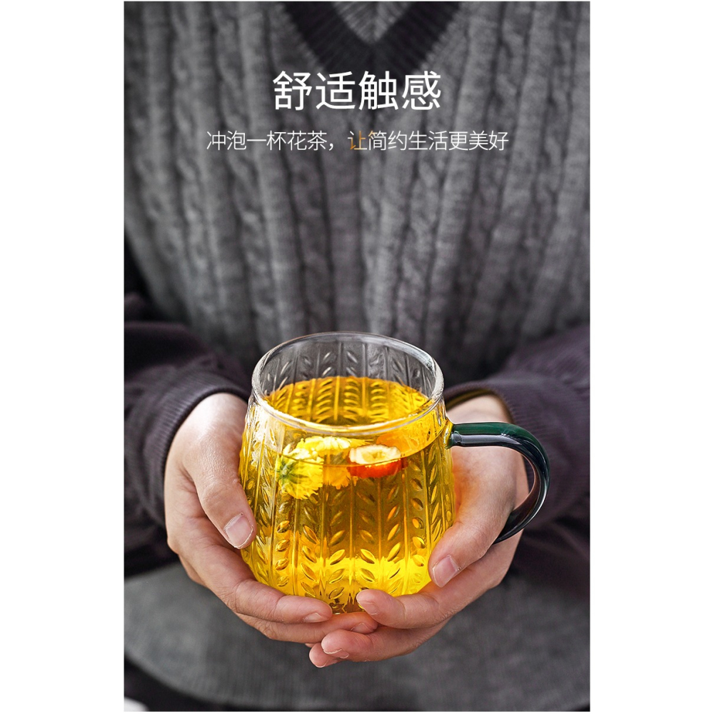 玻璃杯帶把家用高顏值水杯男女早餐杯燕麥片牛奶杯咖啡杯創意簡約-細節圖10