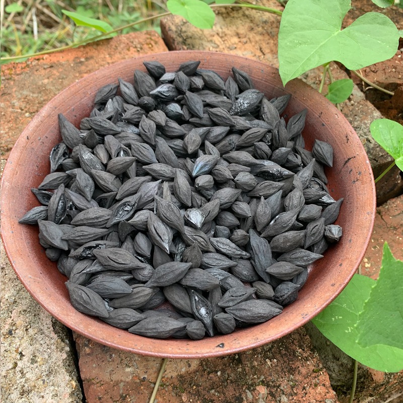 六合堂煮茶碳橄欖碳果木炭無煙核桃碳燃碳器炭爐燒茶好易燃耐燒炭-細節圖4