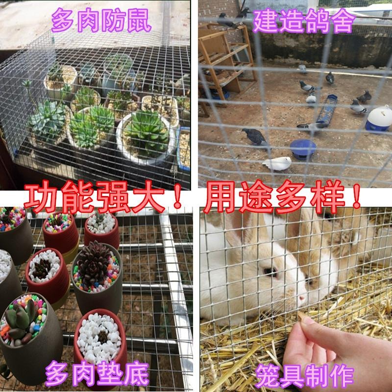 鍍鋅鐵絲網圍欄養殖網網格網鋼絲網鐵網子圍欄養雞鴨鵝鴿防鼠防蛇-細節圖2