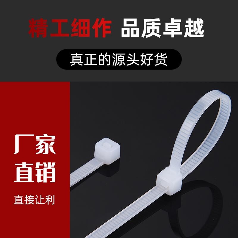 塑料卡帶扣扎帶扣件卡帶扎線帶扎口帶電線扎絲收緊塑料索帶電-細節圖2