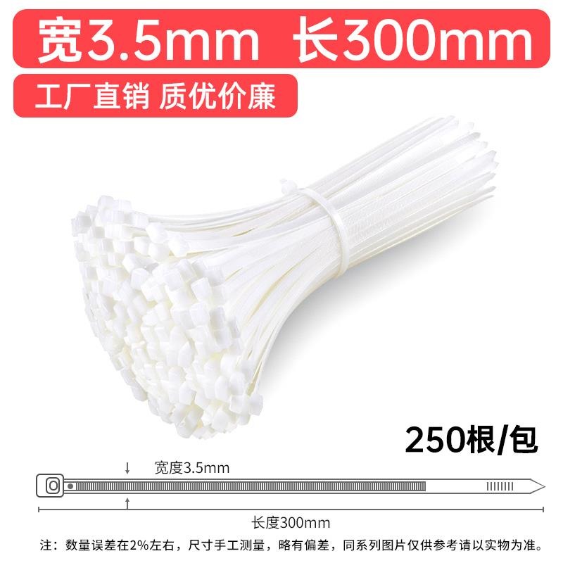 塑料卡帶扣扎帶扣件卡帶扎線帶扎口帶電線扎絲收緊塑料索帶電-細節圖9