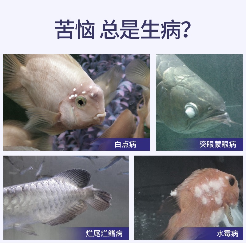 魚缸ph值測試筆便攜式水質酸堿度檢測器儀計測水儀器水產養殖家用-細節圖2