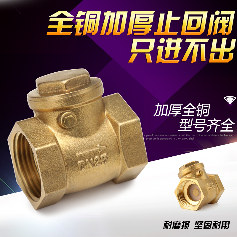 臥式止回閥 全銅單向閥 逆止閥 止回閥 4分6分1寸 dn50 65 80 100-細節圖2