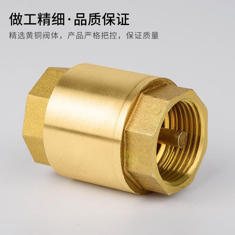 臥式止回閥 全銅單向閥 逆止閥 止回閥 4分6分1寸 dn50 65 80 100-細節圖3