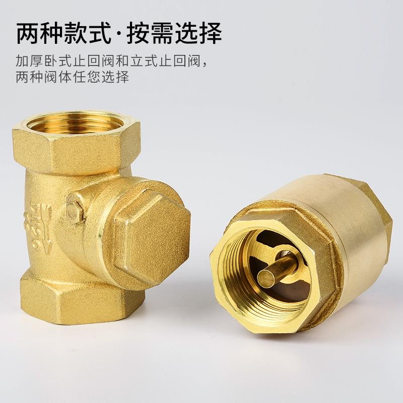 臥式止回閥 全銅單向閥 逆止閥 止回閥 4分6分1寸 dn50 65 80 100-細節圖4