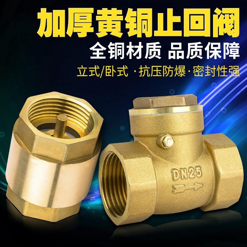 臥式止回閥 全銅單向閥 逆止閥 止回閥 4分6分1寸 dn50 65 80 100-細節圖6