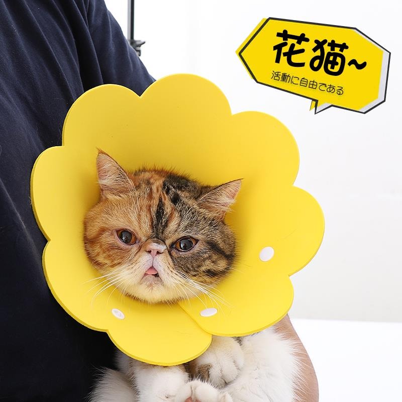 太陽花伊麗莎白圈幼貓海綿輕薄頭套貓咪項圈脖圈防舔恥辱圈絕育用-細節圖4