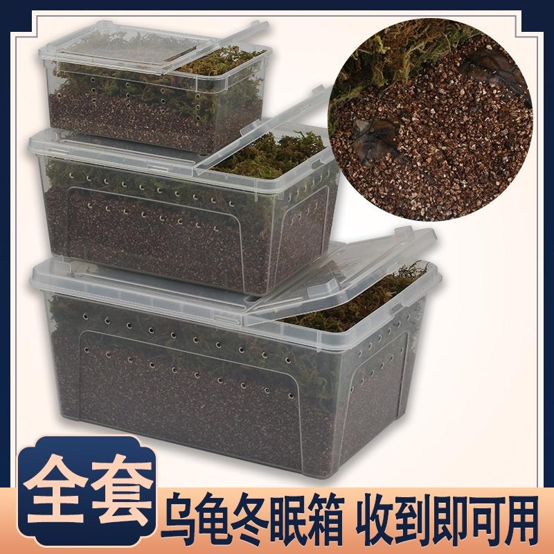 小烏龜冬眠用品巴西過冬草裝備保溫盒神器苔蘚蛭石爬寵墊材飼養箱-細節圖2