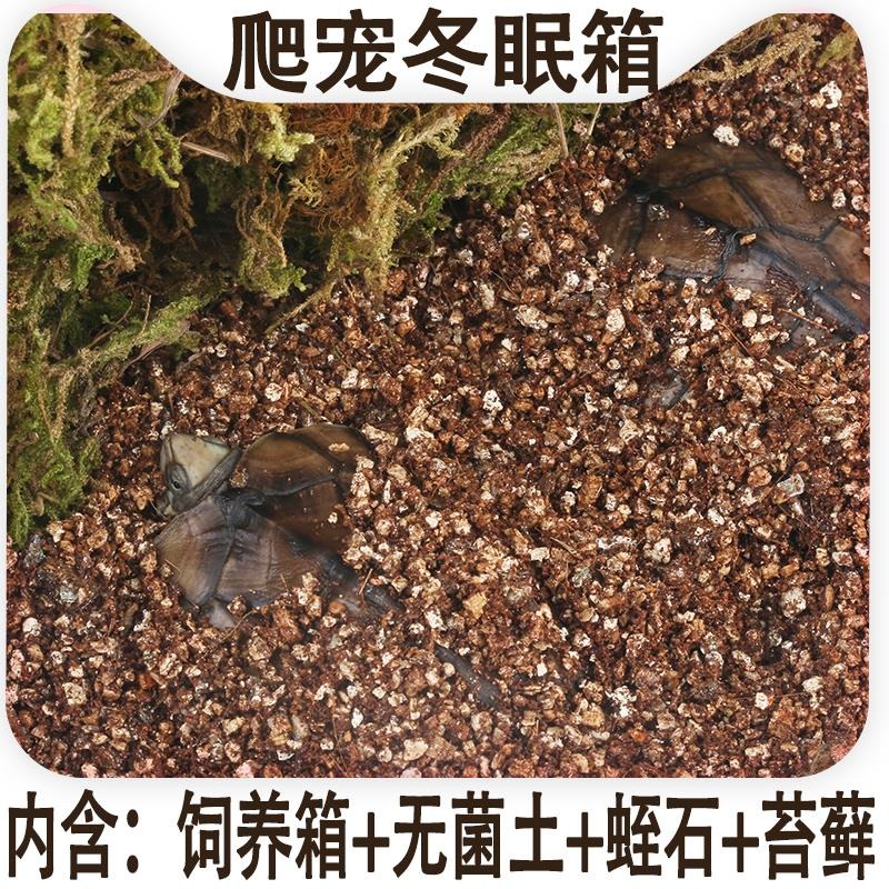 小烏龜冬眠用品巴西過冬草裝備保溫盒神器苔蘚蛭石爬寵墊材飼養箱-細節圖4