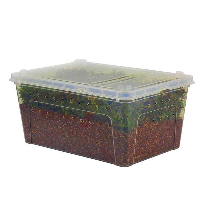 小烏龜冬眠用品巴西過冬草裝備保溫盒神器苔蘚蛭石爬寵墊材飼養箱-細節圖5