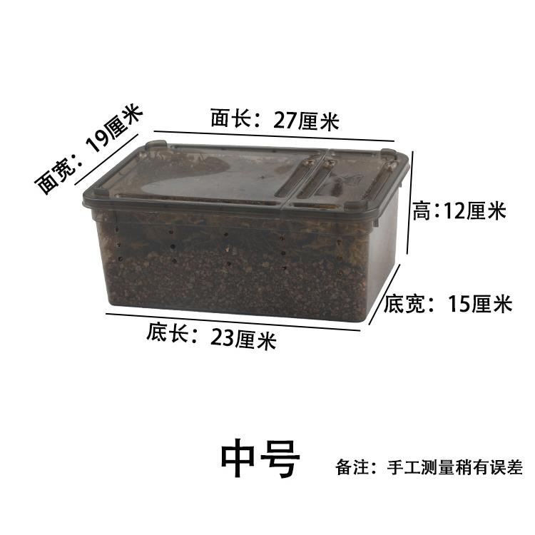 小烏龜冬眠用品巴西過冬草裝備保溫盒神器苔蘚蛭石爬寵墊材飼養箱-細節圖6