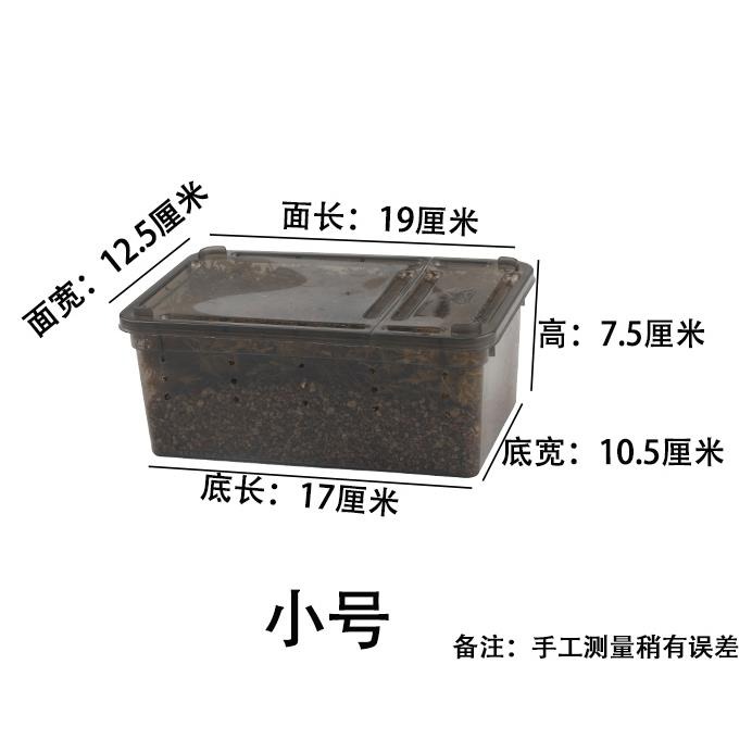 小烏龜冬眠用品巴西過冬草裝備保溫盒神器苔蘚蛭石爬寵墊材飼養箱-細節圖8