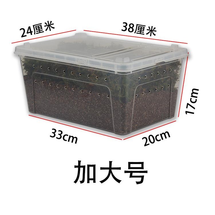 小烏龜冬眠用品巴西過冬草裝備保溫盒神器苔蘚蛭石爬寵墊材飼養箱-細節圖9
