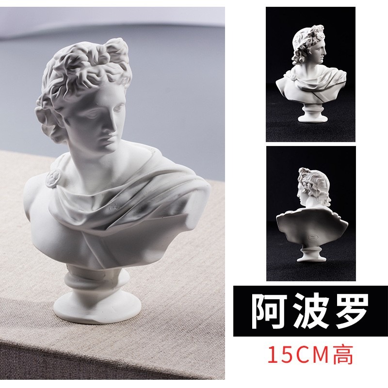 15CM大衛小衛馬賽維納斯拉奧孔素描人物樹脂石膏頭像繪畫頭像擺件-細節圖3