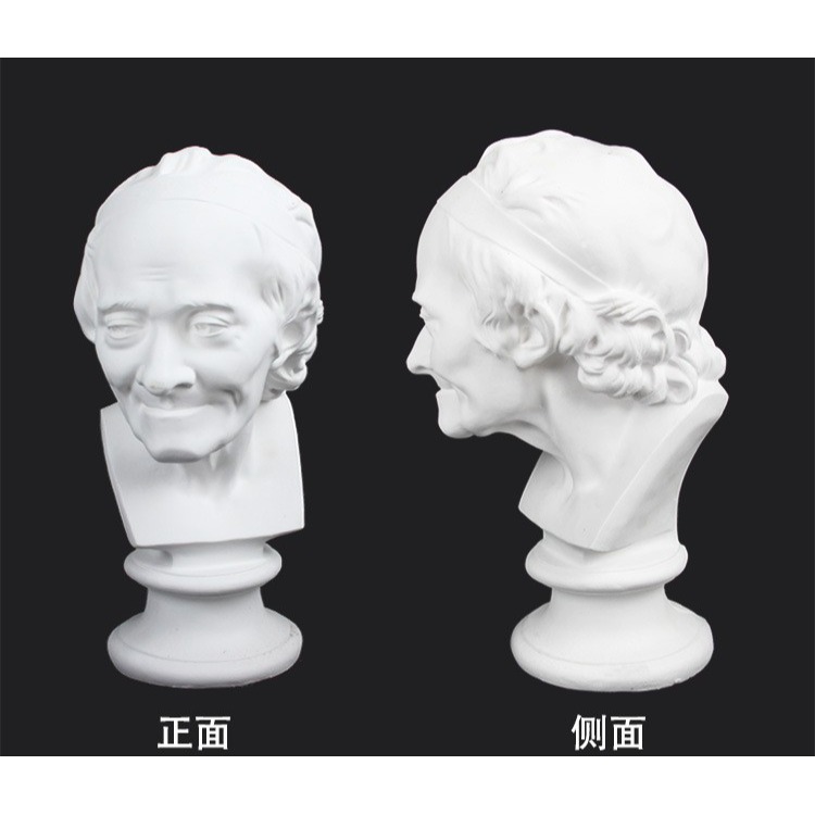 迷你樹脂石膏像19CM伏爾泰石膏素描像美術練習雕像速寫人像單個-細節圖3